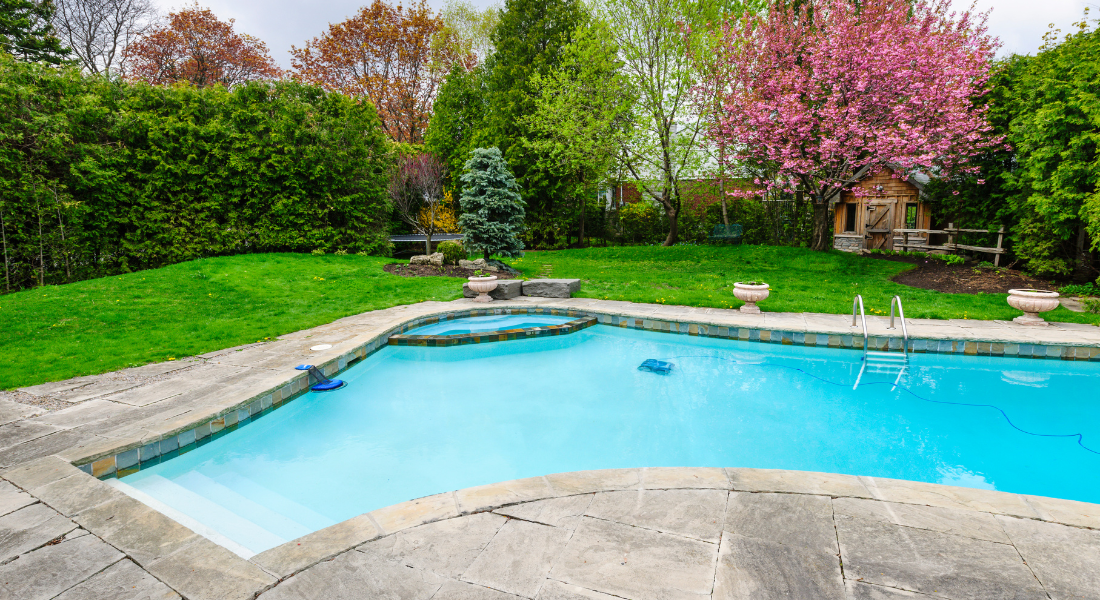 Pool with lawn view